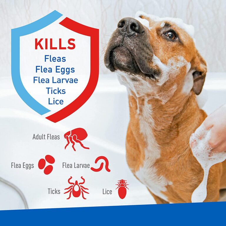 Pet flea treatmant